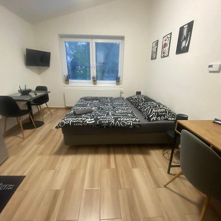 Cerna Ruze - Apartman 7 Plzeň Buitenkant foto
