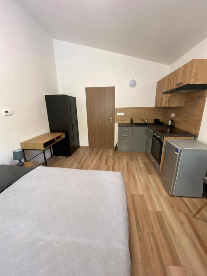 Cerna Ruze - Apartman 7 Plzeň Buitenkant foto